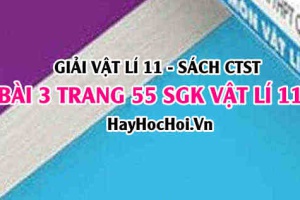 Giải bài 3 trang 55 Vật lý 11 SGK Chân trời sáng tạo